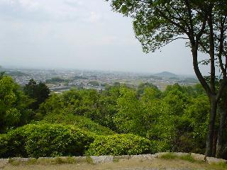 ���܂����̋u����̒���